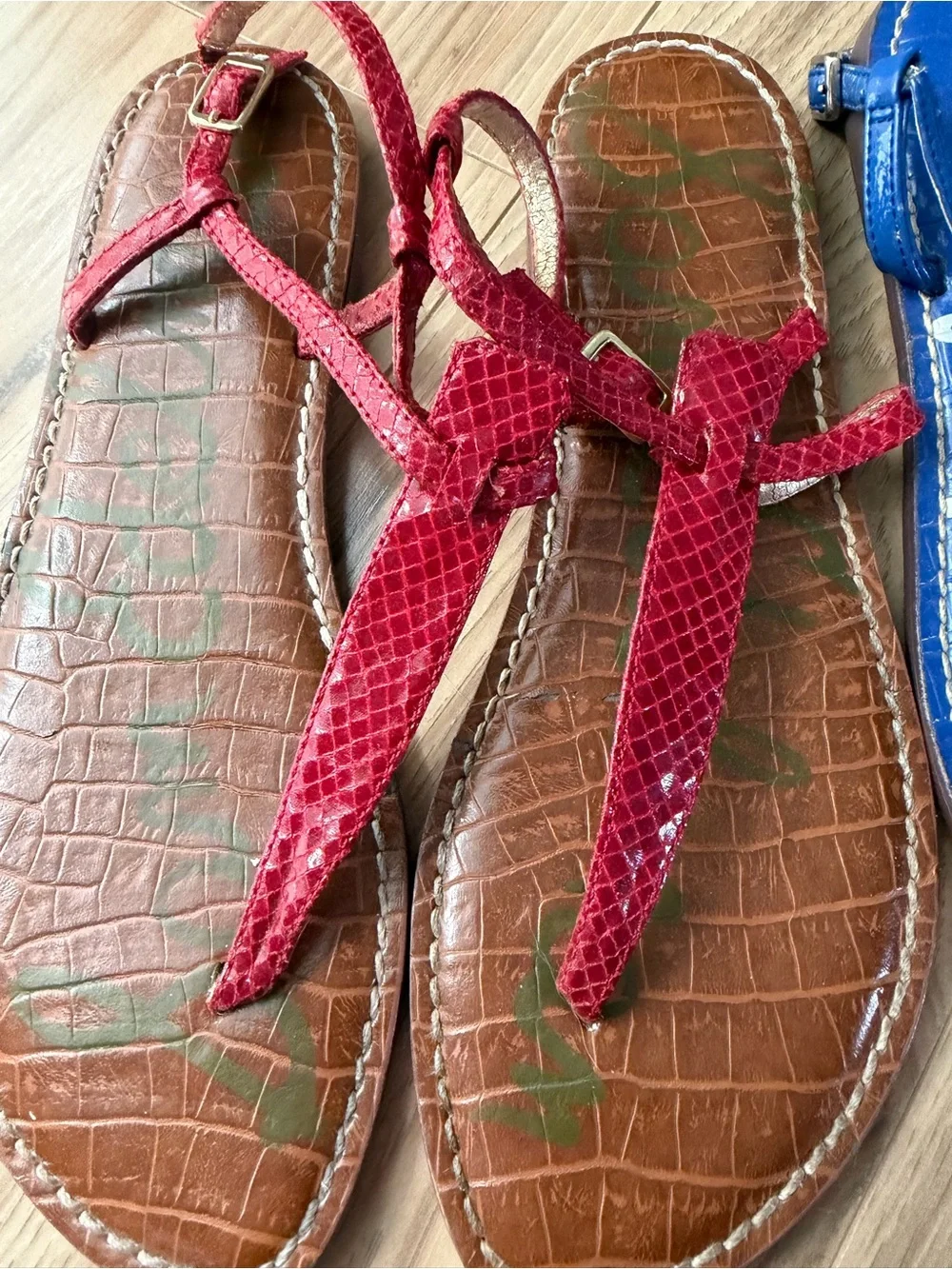 Sam Edelman 2-Pair Gigi Sandals 7 Blue Snake and Red Snake